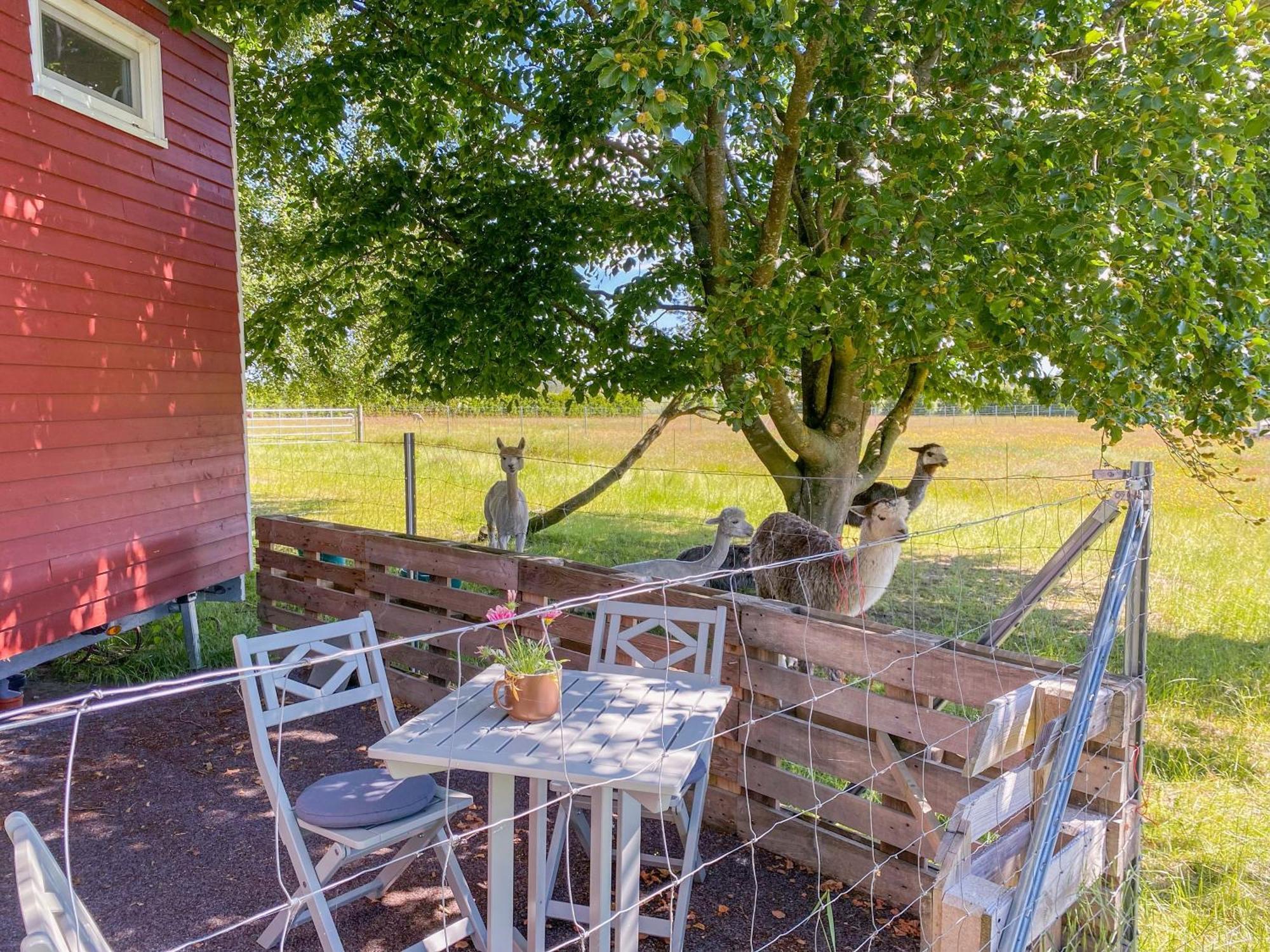 Tiny House Auf Der Alpaka Farm Villa Rubkow Exterior photo